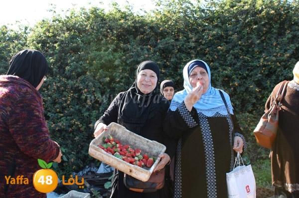 re7la tolkarem (70).JPG